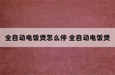 全自动电饭煲怎么停 全自动电饭煲